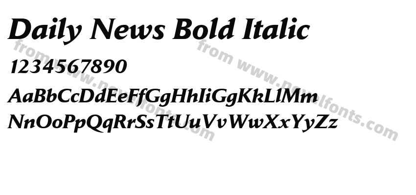 Daily News Bold ItalicPreview