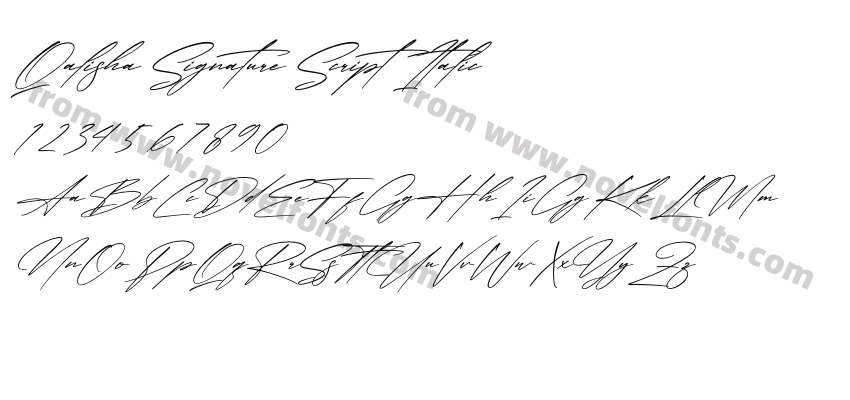 Qalisha Signature Script ItalicPreview