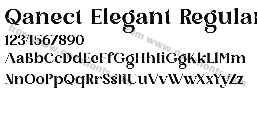 Qanect Elegant RegularPreview