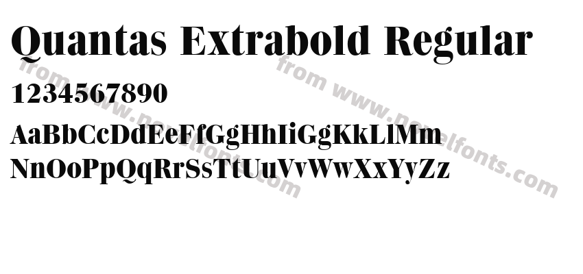 Quantas Extrabold RegularPreview