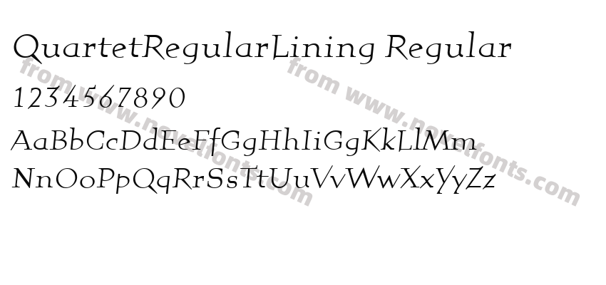 QuartetRegularLining RegularPreview