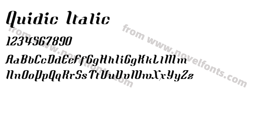 Quidic ItalicPreview