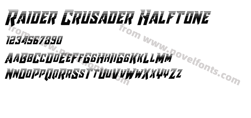 Raider Crusader HalftonePreview