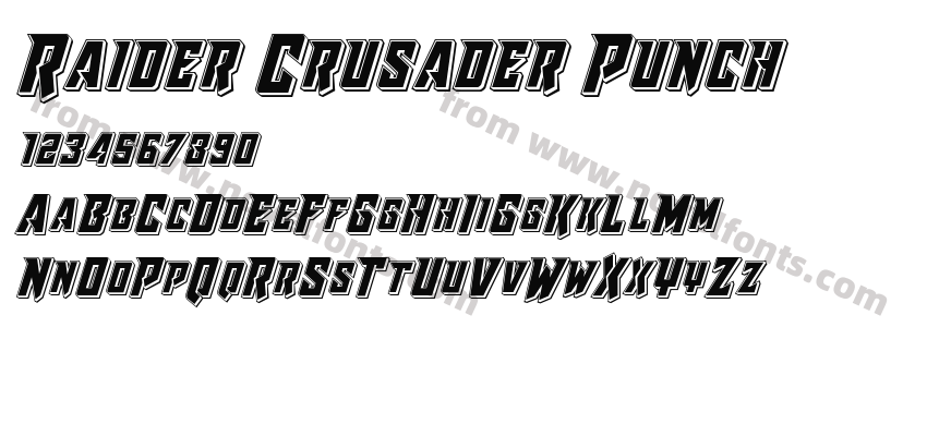 Raider Crusader PunchPreview