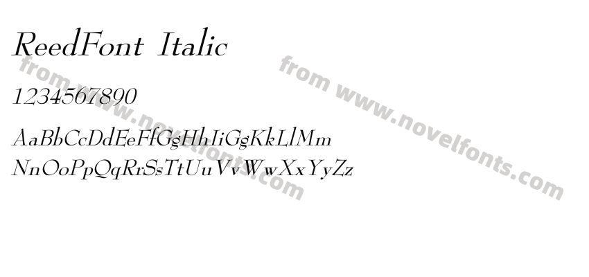 ReedFont ItalicPreview