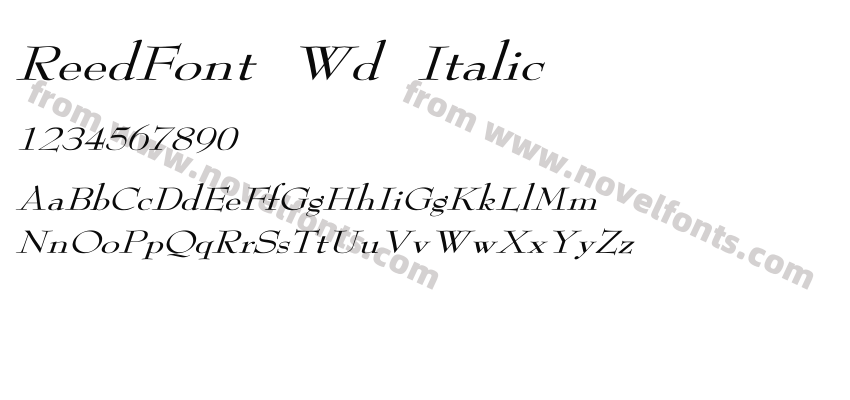 ReedFont Wd ItalicPreview