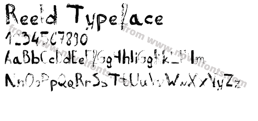 Reeld TypefacePreview