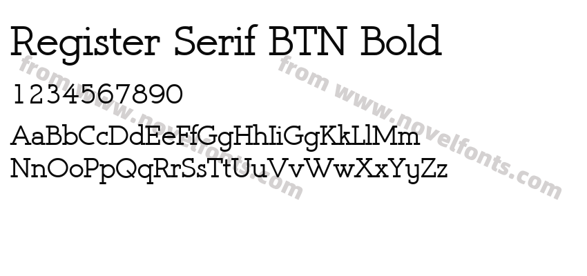 Register Serif BTN BoldPreview