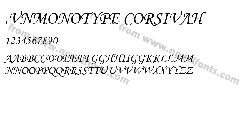 .VnMonotype corsivaHPreview