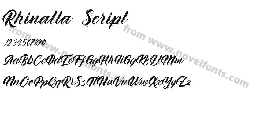Rhinatta ScriptPreview