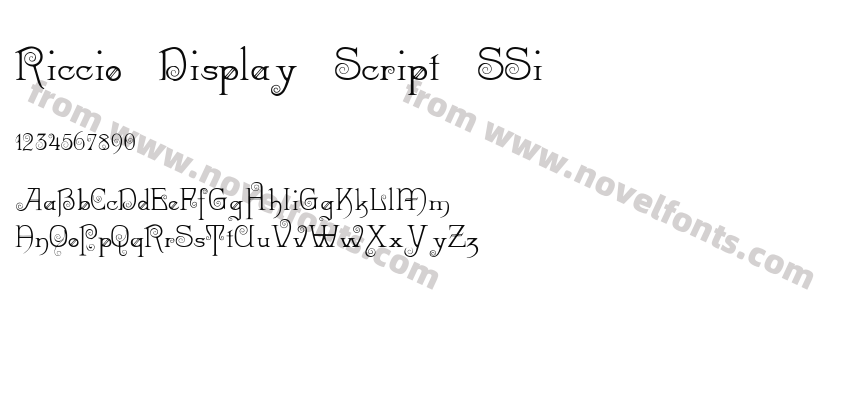 Riccio Display Script SSiPreview