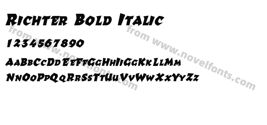 Richter Bold ItalicPreview