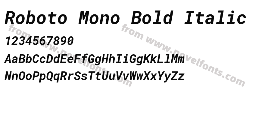 Roboto Mono Bold ItalicPreview