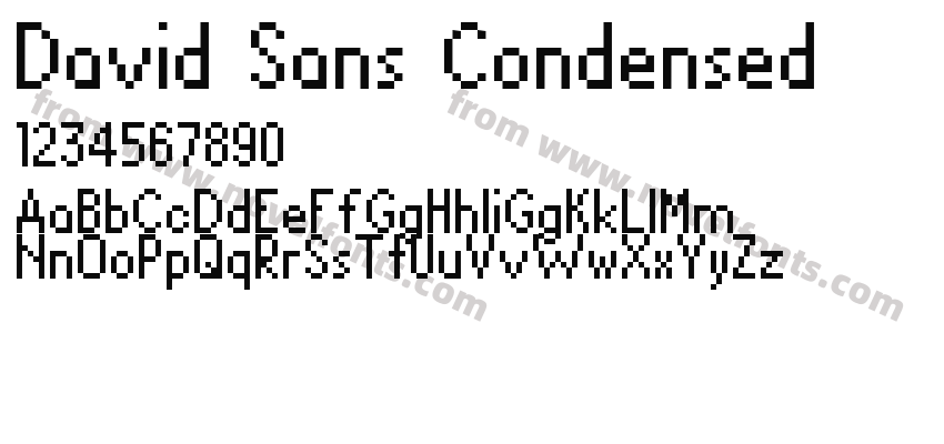 David Sans CondensedPreview