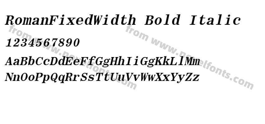 RomanFixedWidth Bold ItalicPreview