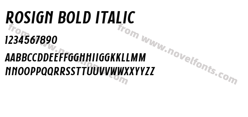 Rosign Bold ItalicPreview