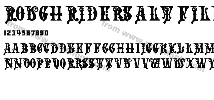 Rough Riders Alt FillPreview