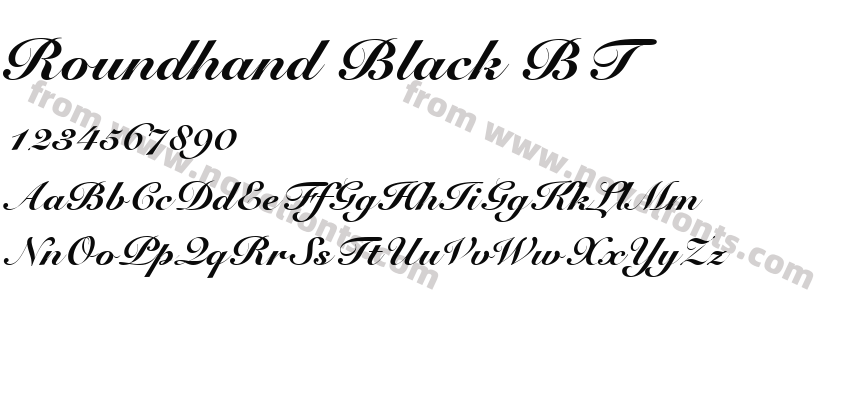 Roundhand Black BTPreview