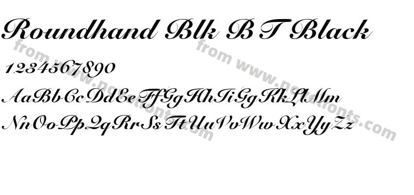 Roundhand Blk BT BlackPreview