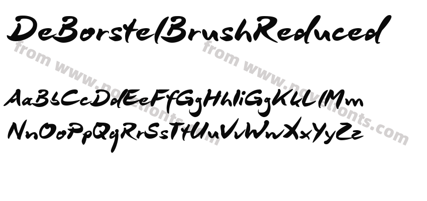 De Borstel Brush ReducedPreview