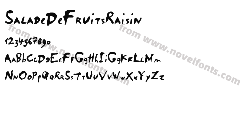 SaladeDeFruitsRaisinPreview