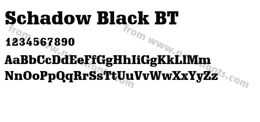 Schadow Black BTPreview