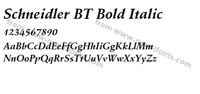 Schneidler BT Bold ItalicPreview