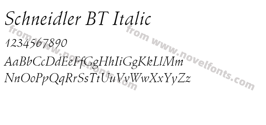 Schneidler BT ItalicPreview