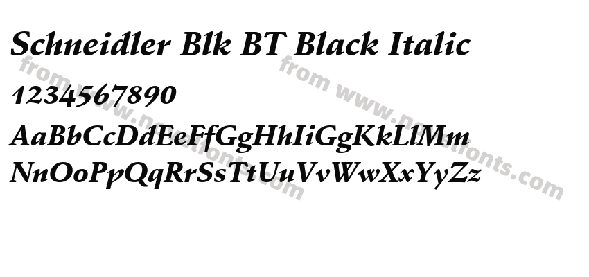 Schneidler Blk BT Black ItalicPreview