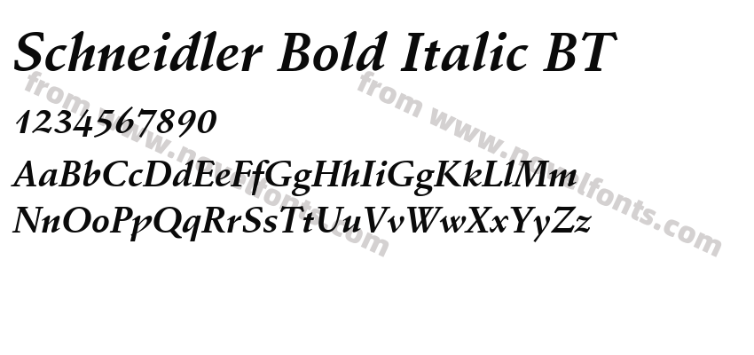 Schneidler Bold Italic BTPreview