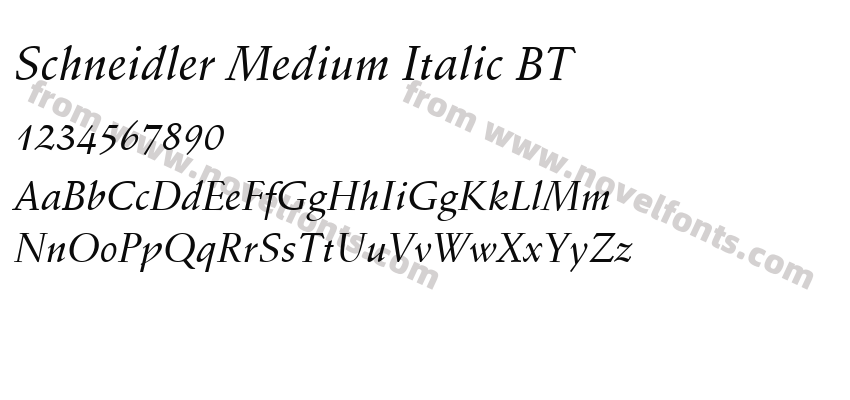 Schneidler Medium Italic BTPreview