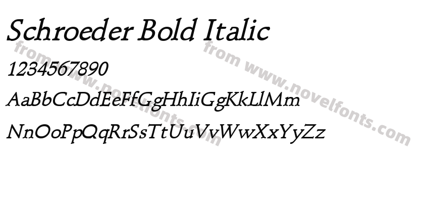 Schroeder Bold ItalicPreview