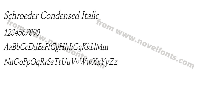 Schroeder Condensed ItalicPreview