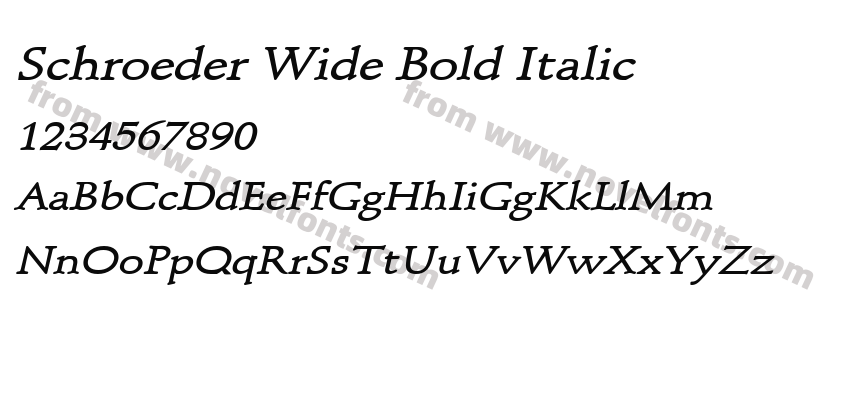 Schroeder Wide Bold ItalicPreview