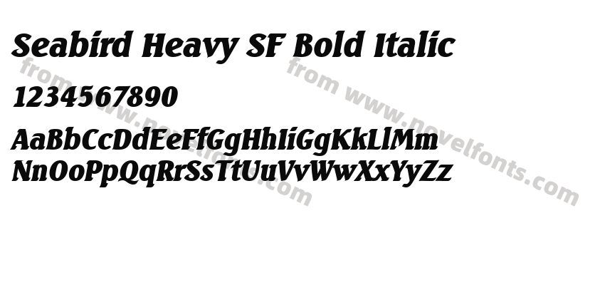 Seabird Heavy SF Bold ItalicPreview