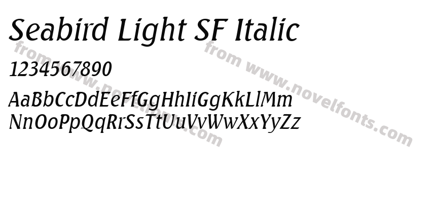 Seabird Light SF ItalicPreview