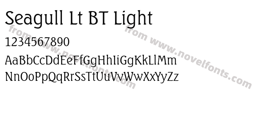 Seagull Lt BT LightPreview