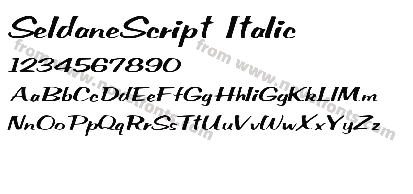 SeldaneScript ItalicPreview