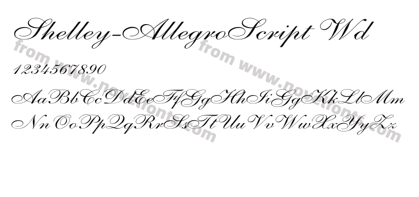 Shelley-AllegroScript WdPreview