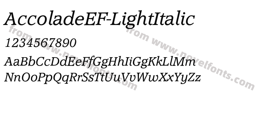 AccoladeEF-LightItalicPreview
