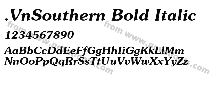 .VnSouthern Bold ItalicPreview