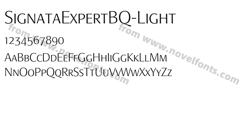 SignataExpertBQ-LightPreview