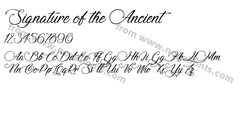 Signature of the AncientPreview