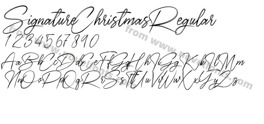 SignatureChristmasRegularPreview