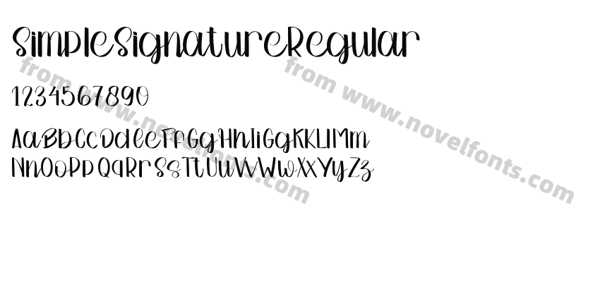 SimpleSignatureRegularPreview