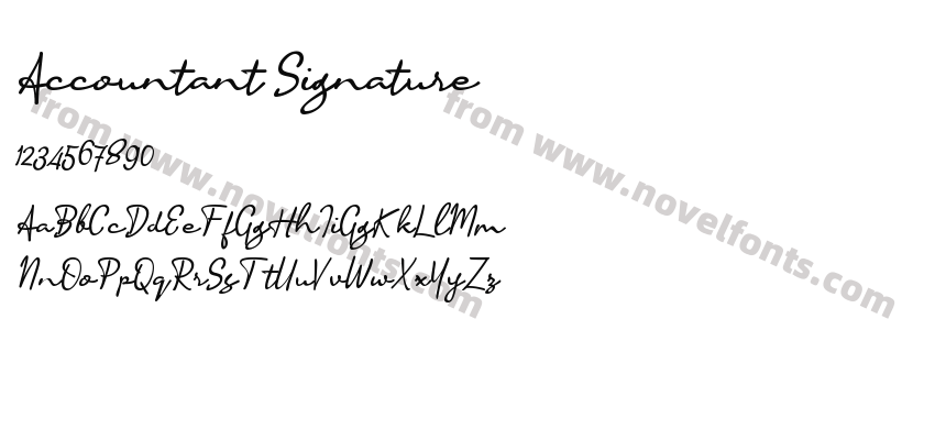 Accountant SignaturePreview