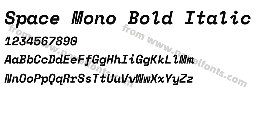 Space Mono Bold ItalicPreview