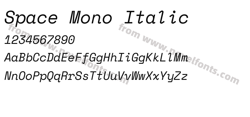 Space Mono ItalicPreview