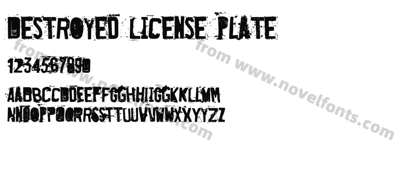 Destroyed License PlatePreview