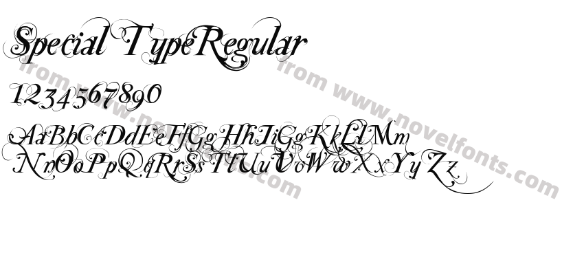 Special TypeRegularPreview